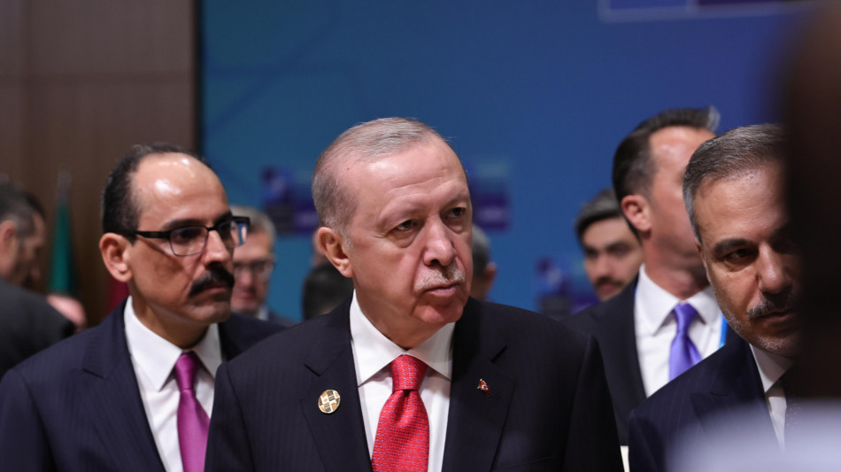 Erdogan ad alleati Nato dell'Ue, 'non agite indebolendo l'Alleanza'