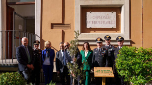 'Un albero per la salute', in quattro anni 130 piantumazioni negli ospedali italiani