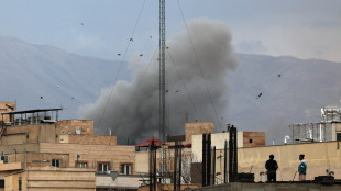 Idf, 'collaboriamo con gli eserciti dei Paesi della regione'