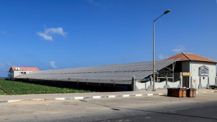 La apuesta de Gaza por la energ&iacute;a solar aporta ahorro y m&aacute;s suministro