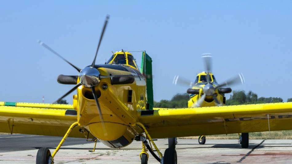 Incendios forestales amenazan tur&iacute;stica costa catalana y obligan a Portugal a pedir ayuda