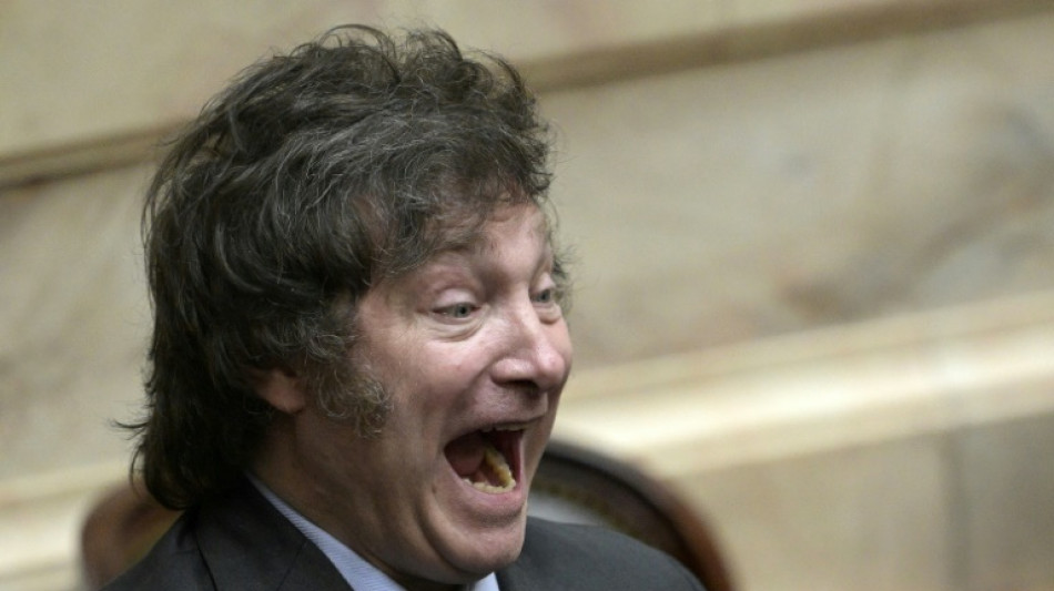 Argentine: Milei investi pr&eacute;sident, le pays attend un choc ultralib&eacute;ral