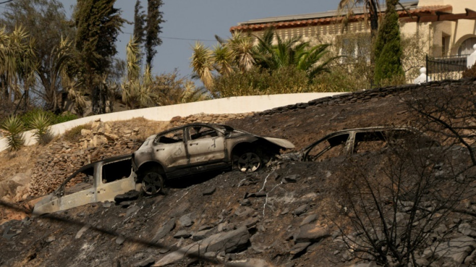 El mort&iacute;fero incendio del sur de Espa&ntilde;a presenta evoluci&oacute;n "favorable"