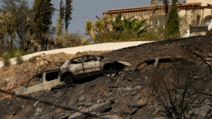 Inc&ecirc;ndio no sul da Espanha tem evolu&ccedil;&atilde;o 'favor&aacute;vel'