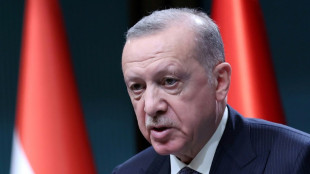 Erdogan à Kiev pour tenter une médiation sans froisser Poutine