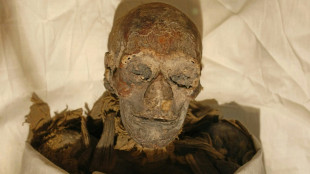 Legado de la faraona egipcia Hatshepsut no fue destruido por su género, según estudio