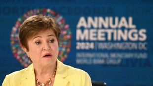 FMI n&atilde;o espera uma recess&atilde;o este ano, apesar das tarifas