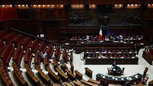 Stretta sulla cittadinanza, ok della Camera all'iter veloce per l'esame della pdl