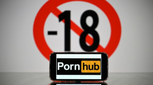 Due&ntilde;os de Pornhub suspenden el acceso en Francia en protesta por las exigencias legales de acceso