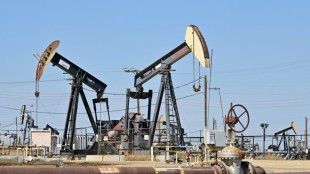 La Opep+ celebra una reuni&oacute;n en un contexto de rumores de un fuerte recorte de la producci&oacute;n