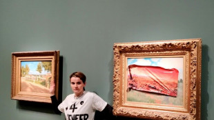 Detenida una activista por pegar un cartel sobre un cuadro de Monet en París