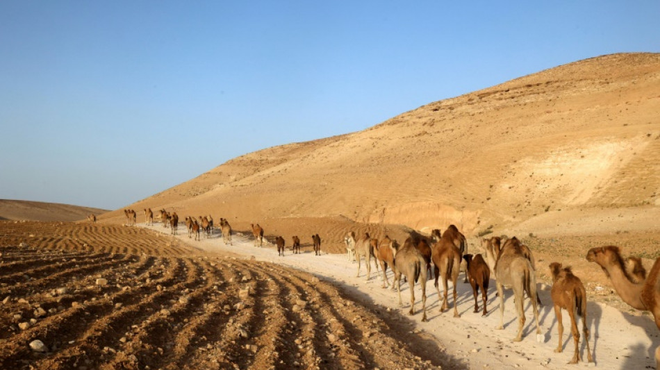 Una decisi&oacute;n judicial en Israel deja a palestinos expuestos a una expulsi&oacute;n inminente