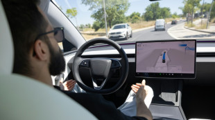 Tesla's semi-autonomous driving could be adapted to EU norms: France