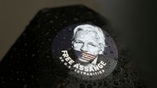 El juicio de extradición de Assange quedó visto para sentencia