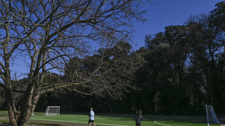 Natura ha effetti analgesici, meno attivit&agrave; aree neurali dolore