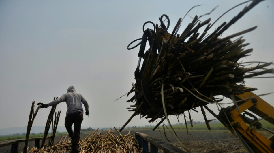México aumenta los aranceles a las importaciones de azúcar