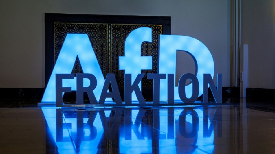 Merz au d&eacute;fi de freiner l'extr&ecirc;me droite &agrave; l'Est, 35 ans apr&egrave;s la r&eacute;unification allemande