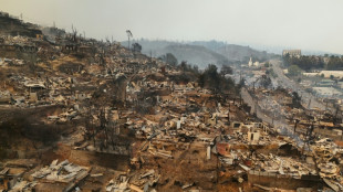 Incendies au Chili : les feux restent hors de contr&ocirc;le malgr&eacute; une accalmie