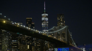 Climat: concentrations record de gaz à effet de serre dans l'atmosphère en 2021