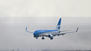 Milei declara estatal Aerol&iacute;neas Argentinas 'sujeita &agrave; privatiza&ccedil;&atilde;o'