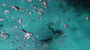 Naufr&aacute;gio de iate tur&iacute;stico deixa pelo menos 17 desaparecidos no Egito