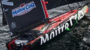 Vend&eacute;e Globe: Richomme augmente son avance, avarie pour Bestaven 