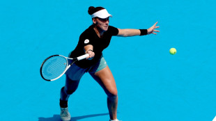 "Kann in New York viel rei&szlig;en": Beltz lobt Seidel