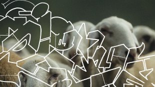 Fabri Fibra e Neffa, il 9 ottobre arriva l'album Zarathustra Style