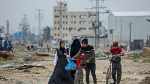 La guerre a fait près de 30.000 morts à Gaza, menacée de famine