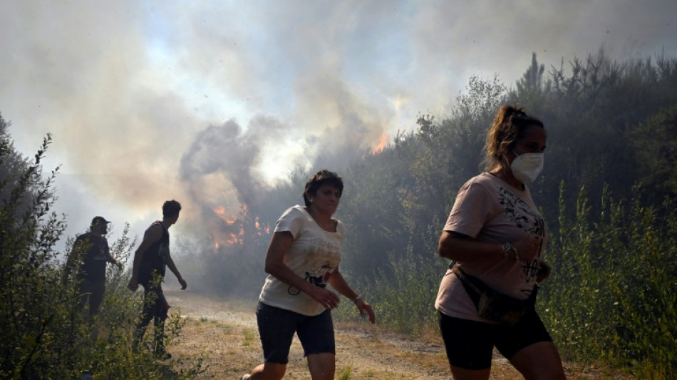 Deadly wildfires rage across Spain as record area of land burnt