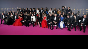 Los ganadores de la 38&ordf; edici&oacute;n de los Premios Goya