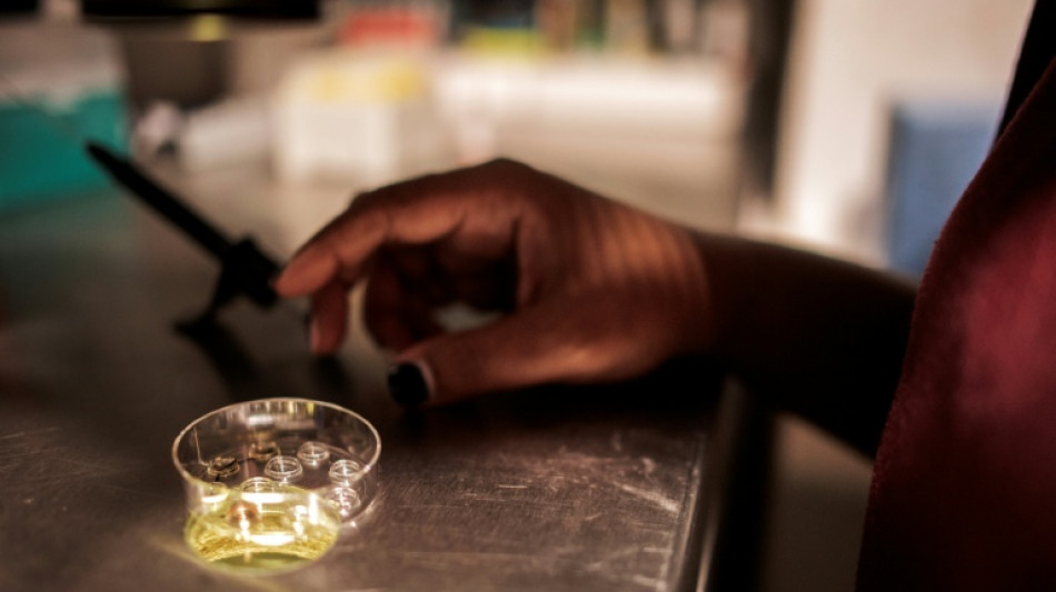 Científicos logran crear óvulos fecundables a partir de células de la piel