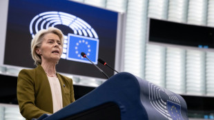 Linke Fraktion reicht Misstrauensantrag gegen von der Leyen im EU-Parlament ein
