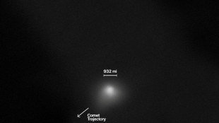 El cometa que fascina a los científicos y alborota las redes 