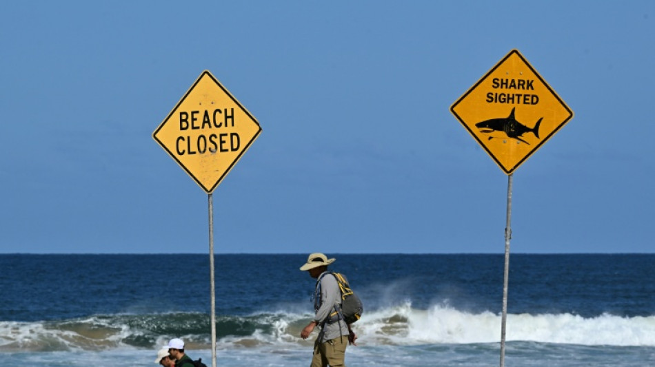 Jugendlicher in Australien bei Haiangriff lebensgef&auml;hrlich verletzt