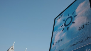 La moitié de l'humanité a subi un mois supplémentaire de canicule à cause du réchauffement (étude)