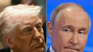 Trump y Putin acuerdan reunirse en los pr&oacute;ximos d&iacute;as