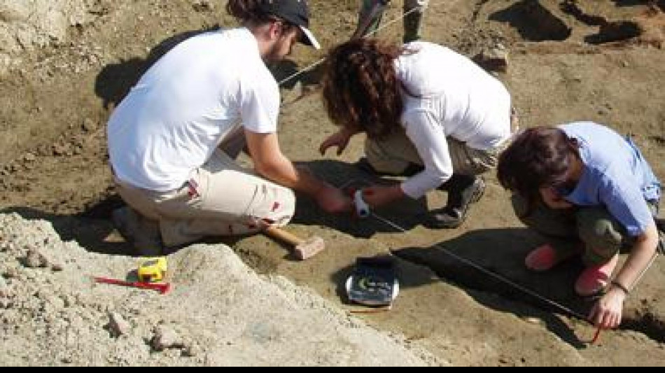 Segni su ossa di 5500 anni fa rivelano un evento di cannibalismo
