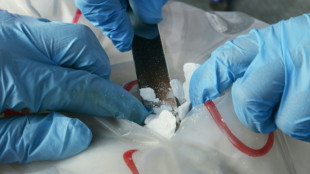 Vier Haftbefehle nach Fund von riesigem Drogenlabor in Nordrhein-Westfalen