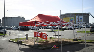 Baja la movilizaci&oacute;n en las refiner&iacute;as de Francia tras tres semanas de huelga