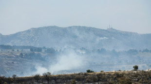 Los bomberos avanzan hacia la contenci&oacute;n del inmenso incendio al norte de Madrid