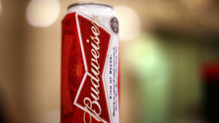 La gigante AB InBev negocia la venta de su participaci&oacute;n en el mercado ruso