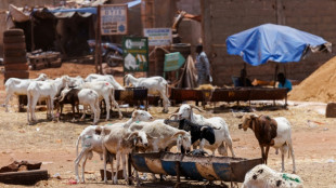 No way home for Eid as jihadists cut off Mali capital