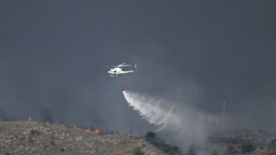 Mindestens elf Tote bei verheerendem Waldbrand in Spanien - Ausl&auml;nder unter Opfern