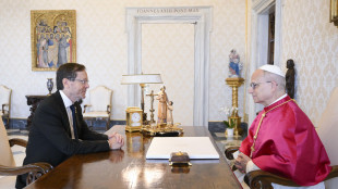 Telefonata tra il Papa ed Herzog, 'porre fine al conflitto'