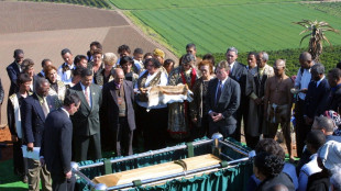 S.Africa wants return of apartheid-, colonial-era remains