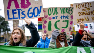 Internationaler Gerichtshof: Staaten sind rechtlich zum Klimaschutz verpflichtet