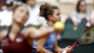 Tennis: Wta Berlino, Errani-Paolini sconfitte in finale