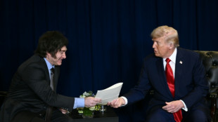 Washington en soutien appuyé à l'économie de son allié Milei