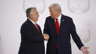Orban, a lavoro per aggirare sanzioni Usa su petrolio russo